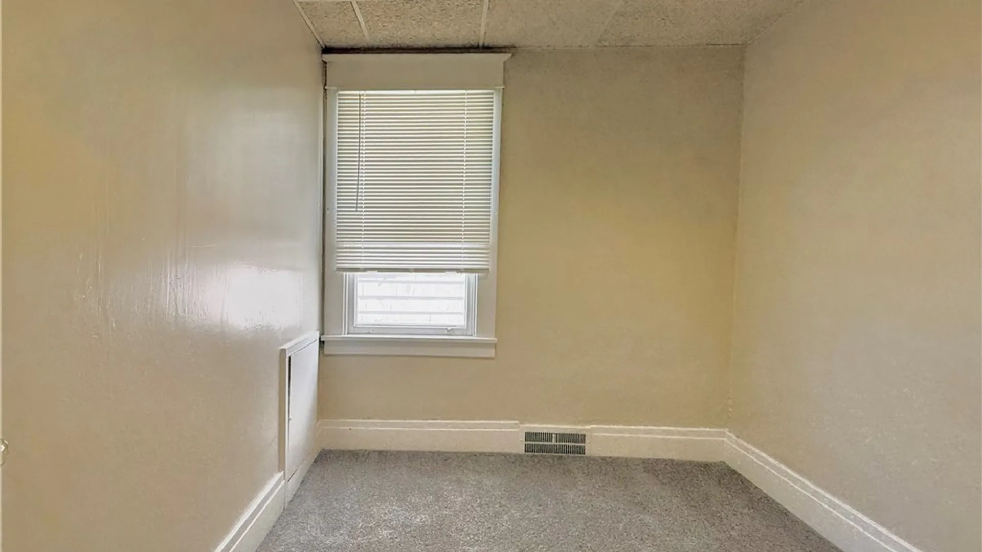Property at 206 Saranac Avenue, Buffalo, NY 14216 10