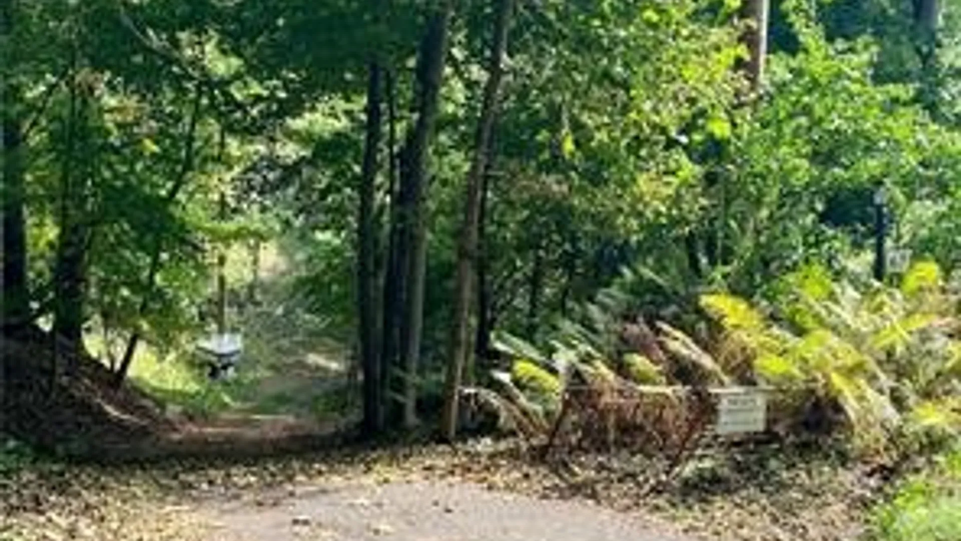 Property at 67 Glenwood Drive, Webster, NY 14580 40