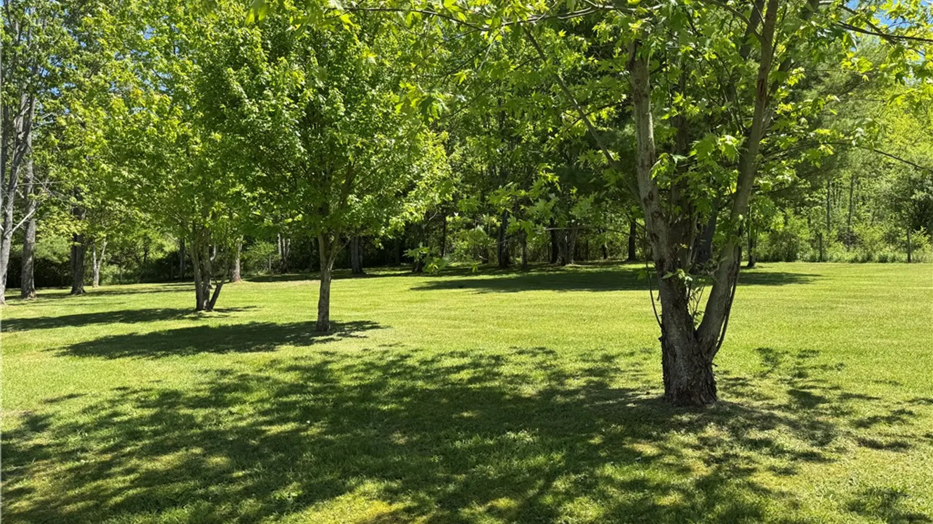 Property at 4483 Niles Hill Road, Wellsville, NY 14895 38