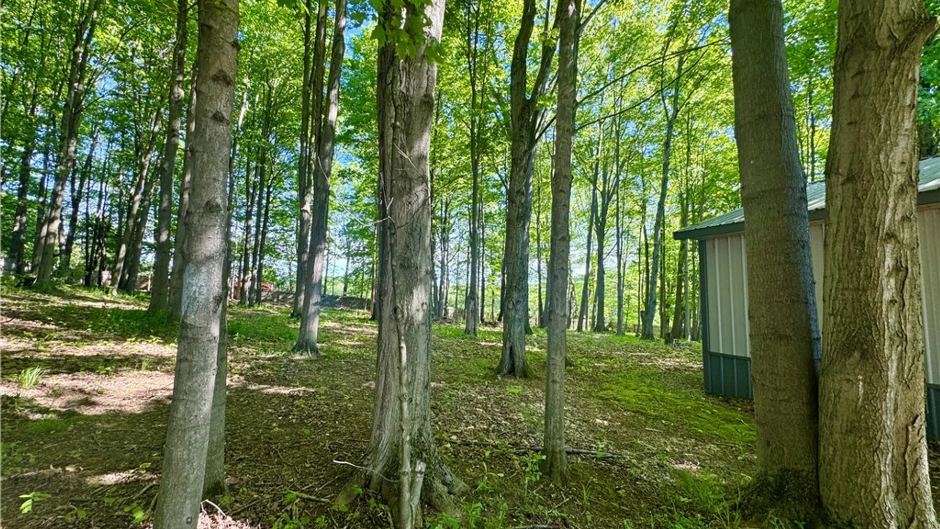 Property at 1050 Old State Route 31, Elbridge, NY 13080 44
