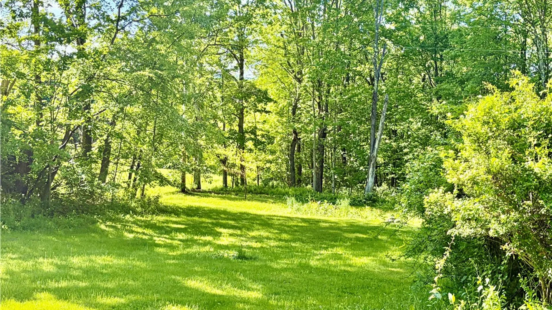Property at 559 Mott Hill Road, Edmeston, NY 13335 35