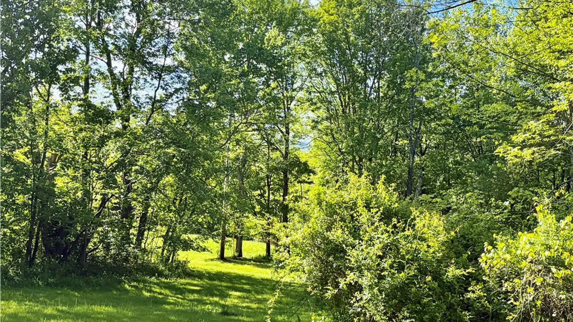 Property at 559 Mott Hill Road, Edmeston, NY 13335 36