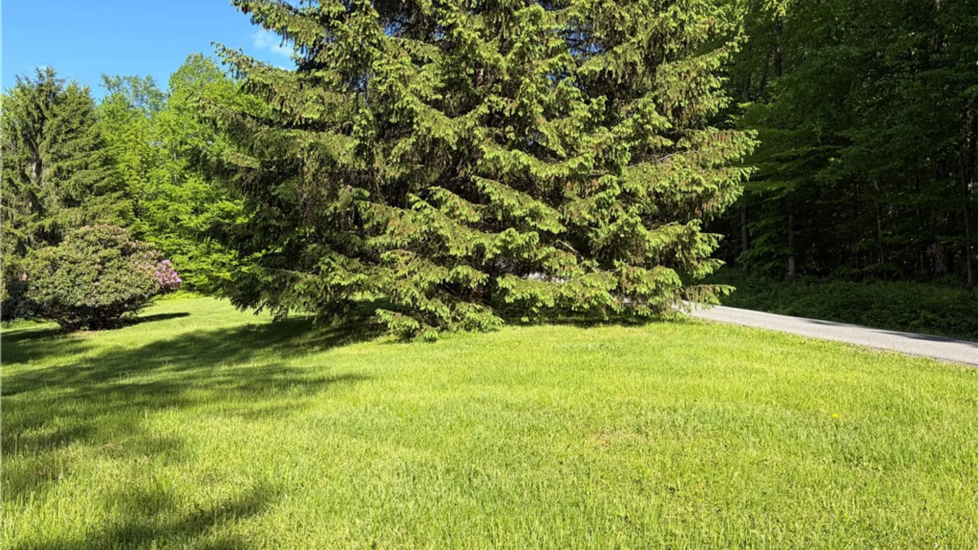 Property at 559 Mott Hill Road, Edmeston, NY 13335 37
