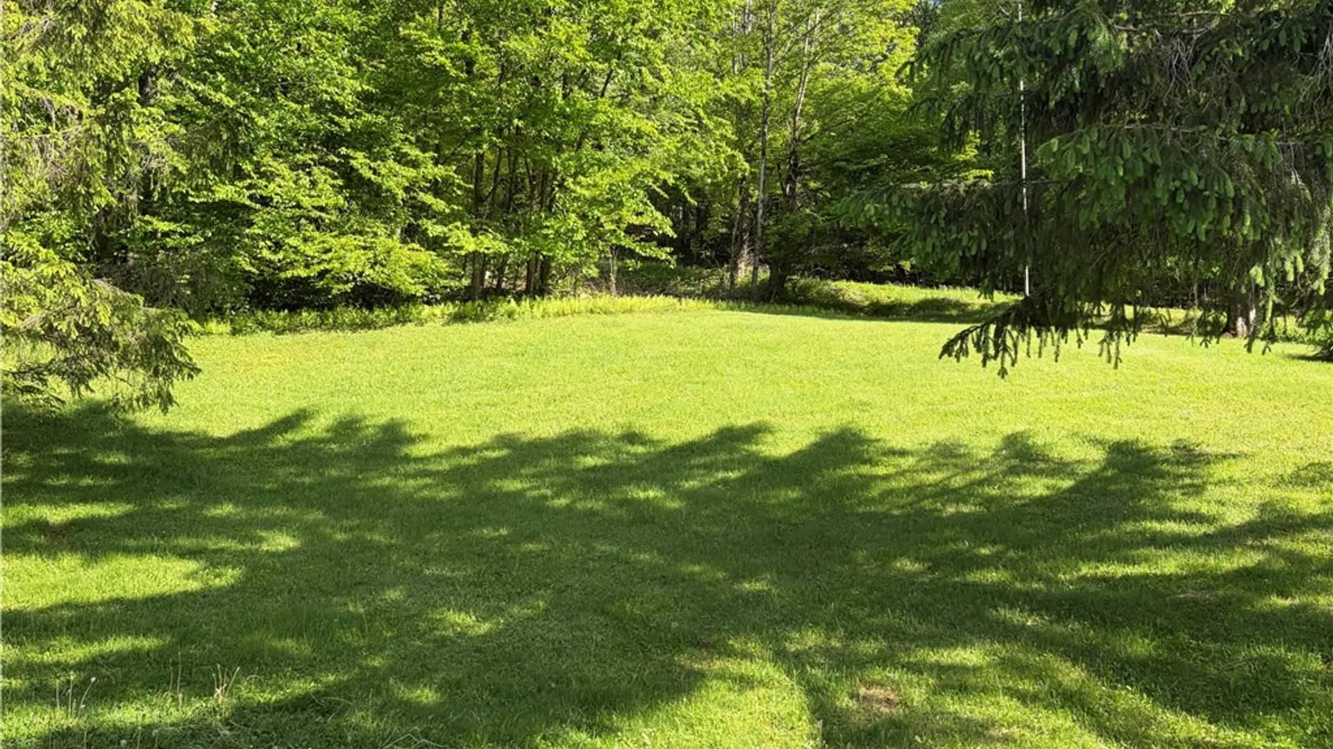 Property at 559 Mott Hill Road, Edmeston, NY 13335 40