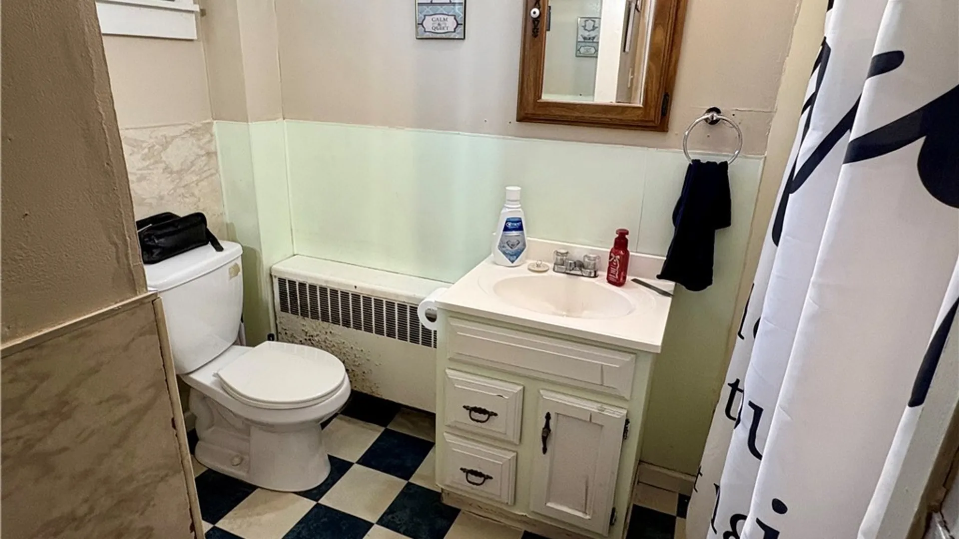 Property at 113 E James Street, Ellicott, NY 14733 20