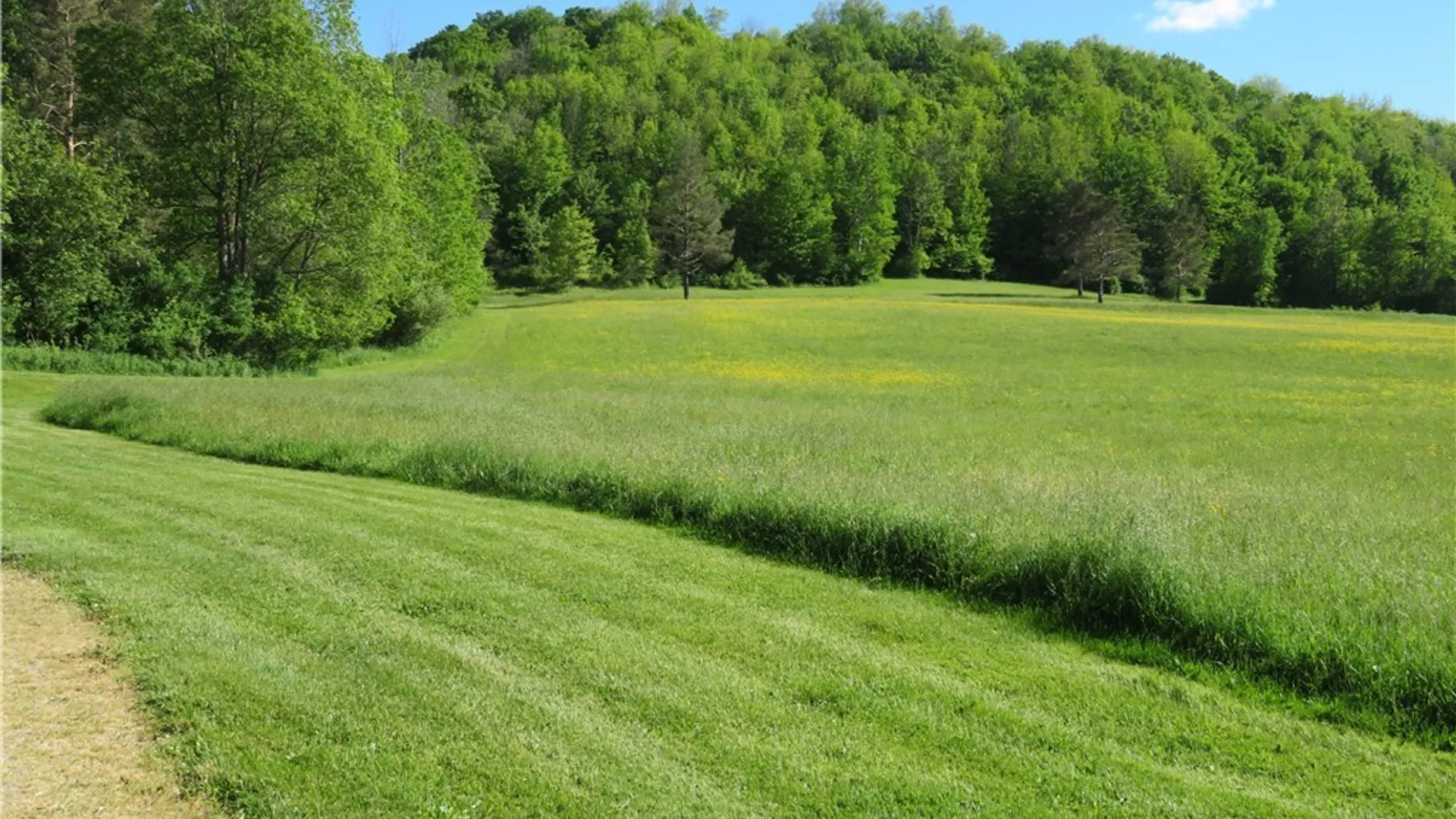 Property at 9661 County Road 7b, Rushford, NY 14727 20