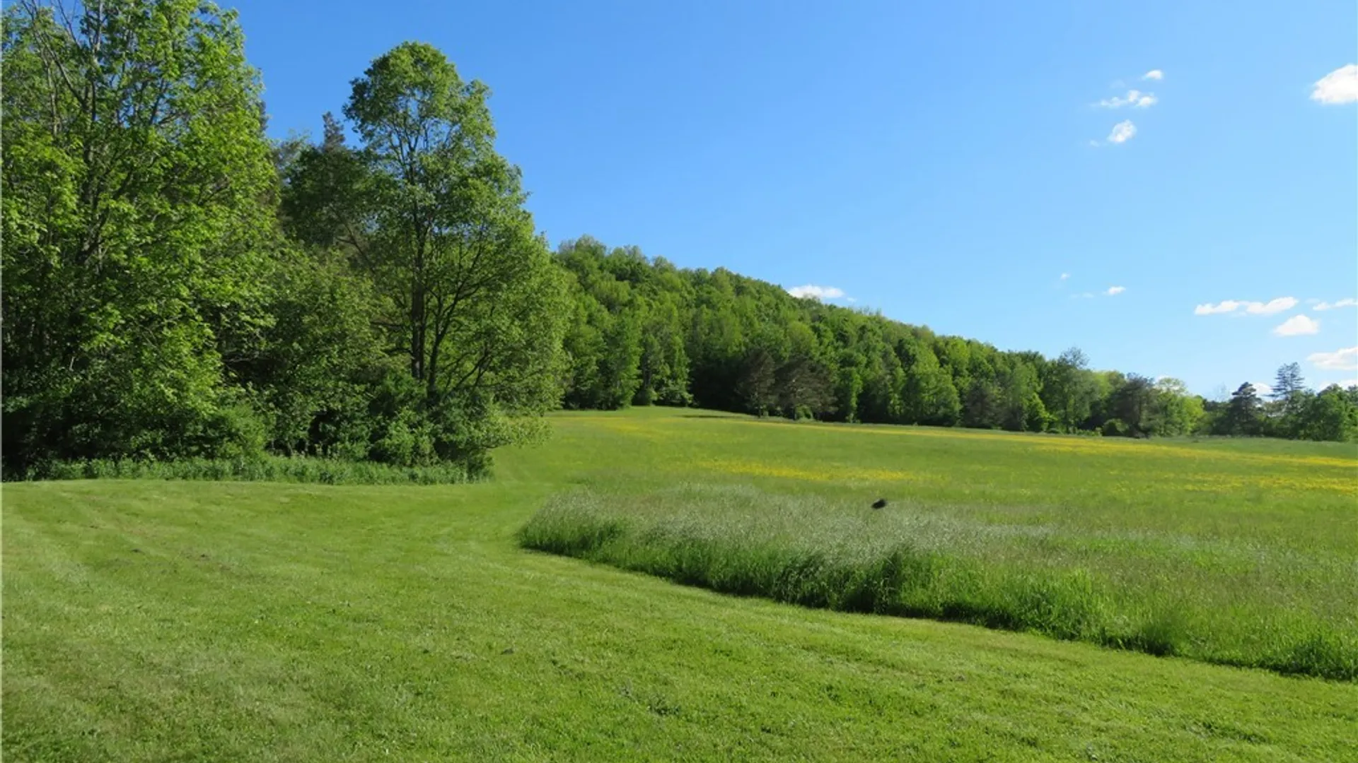 Property at 9661 County Road 7b, Rushford, NY 14727 22