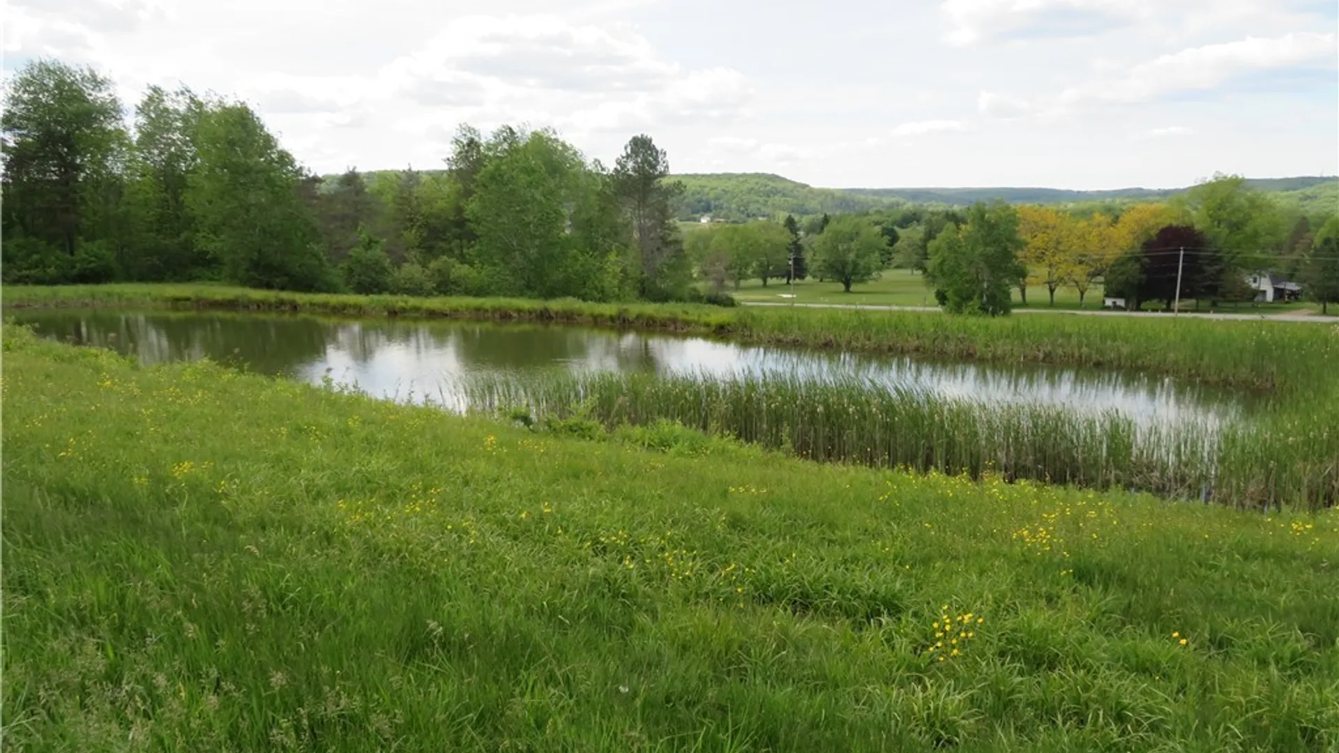Property at 9661 County Road 7b, Rushford, NY 14727 49