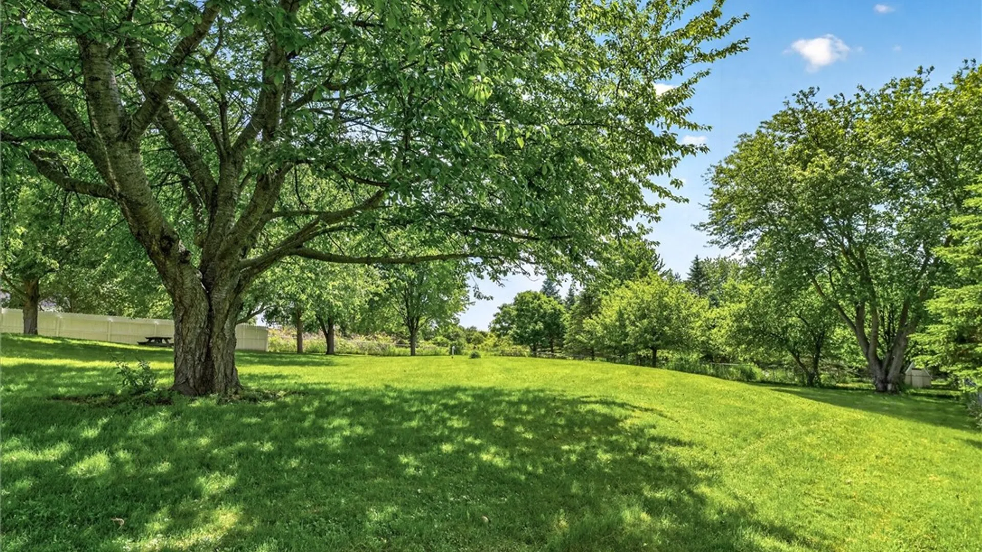 Property at 479 Churchville Riga Road, Riga, NY 14428 43