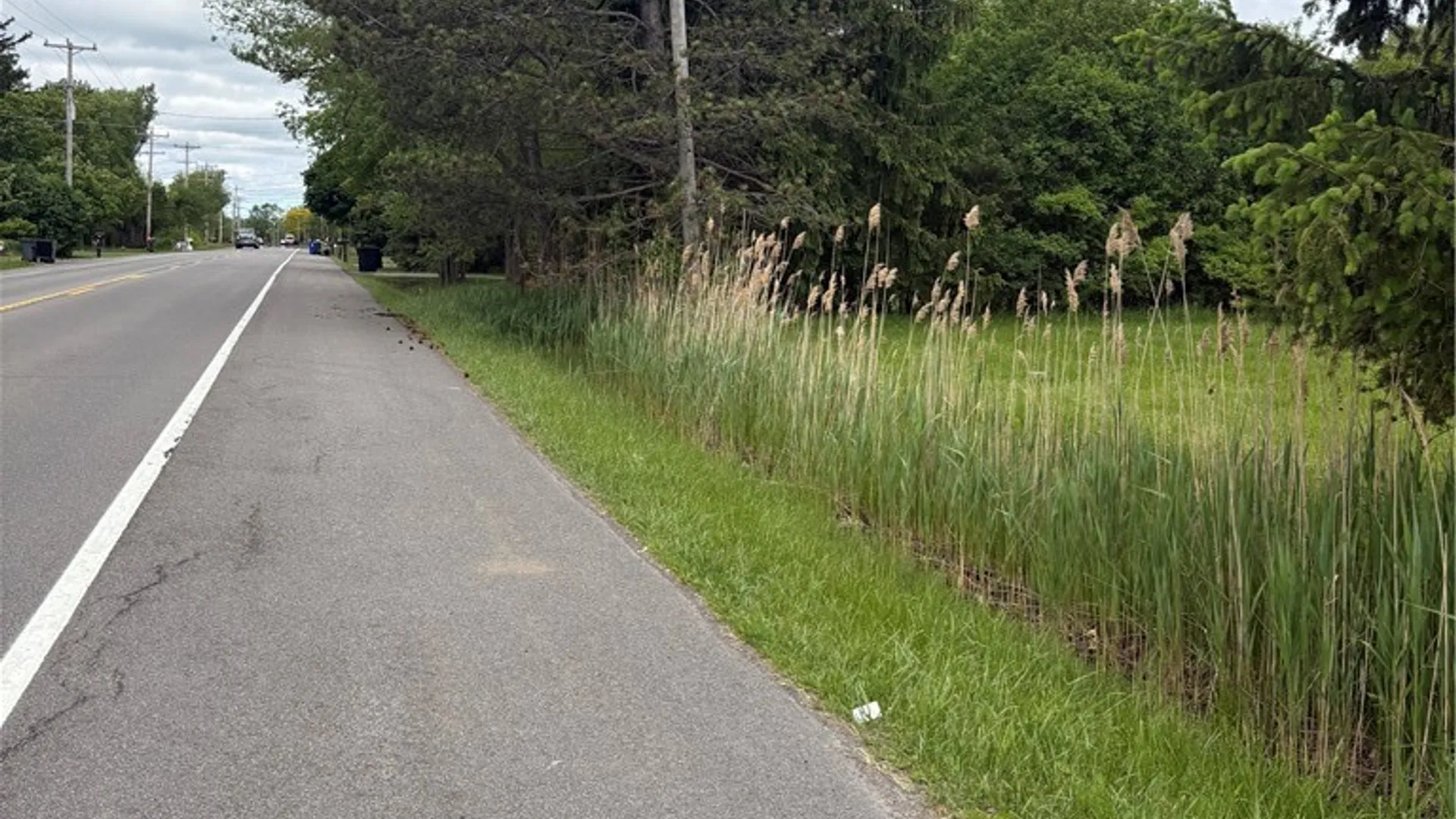 Property at 1245 Saunders Sett Road, Lewiston, NY 14305 6