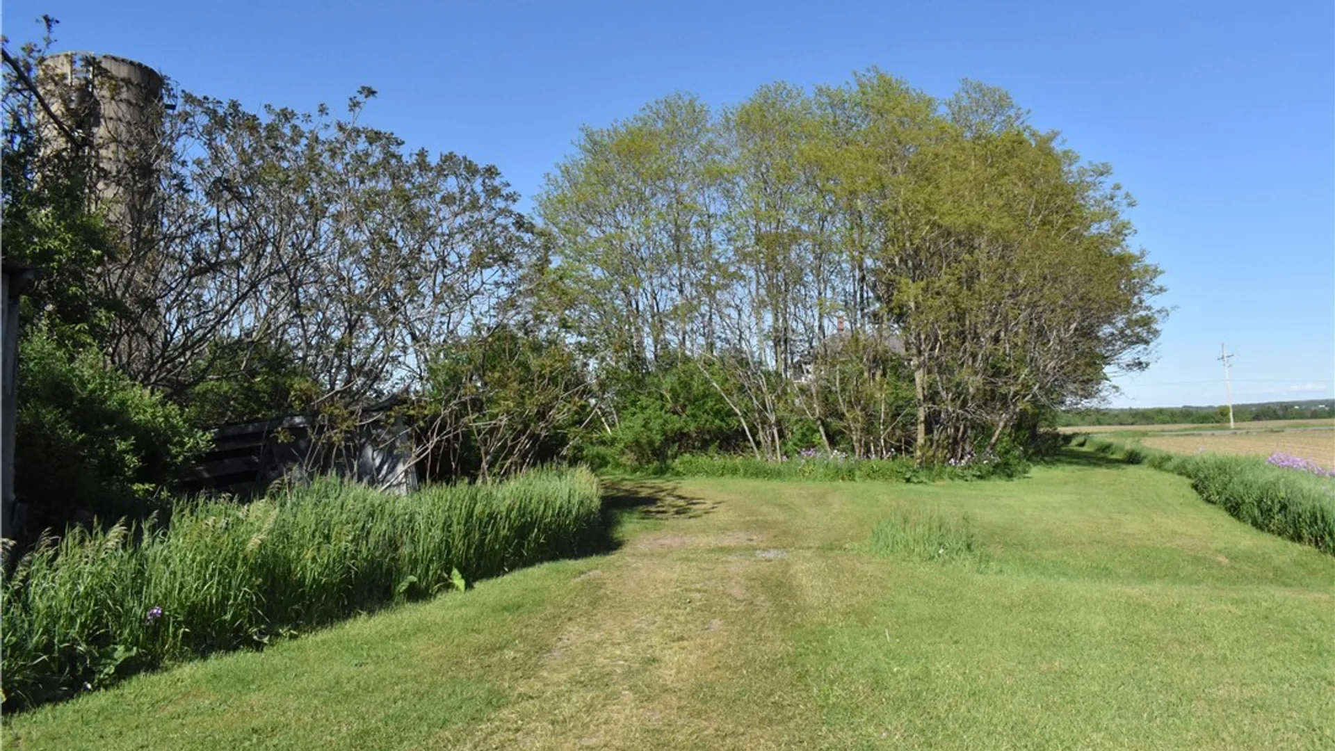 Property at 11580 Savage Road, Sardinia, NY 14030 23