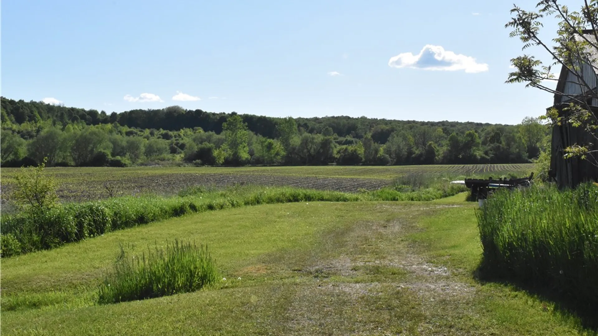 Property at 11580 Savage Road, Sardinia, NY 14030 3