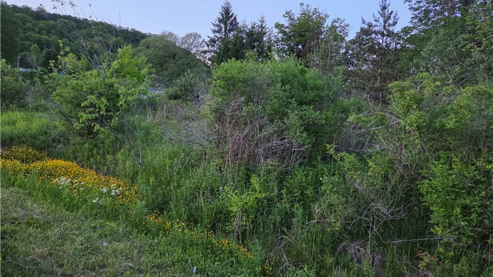Property at Horn Hill Road, Ellicottville, NY 14731 2