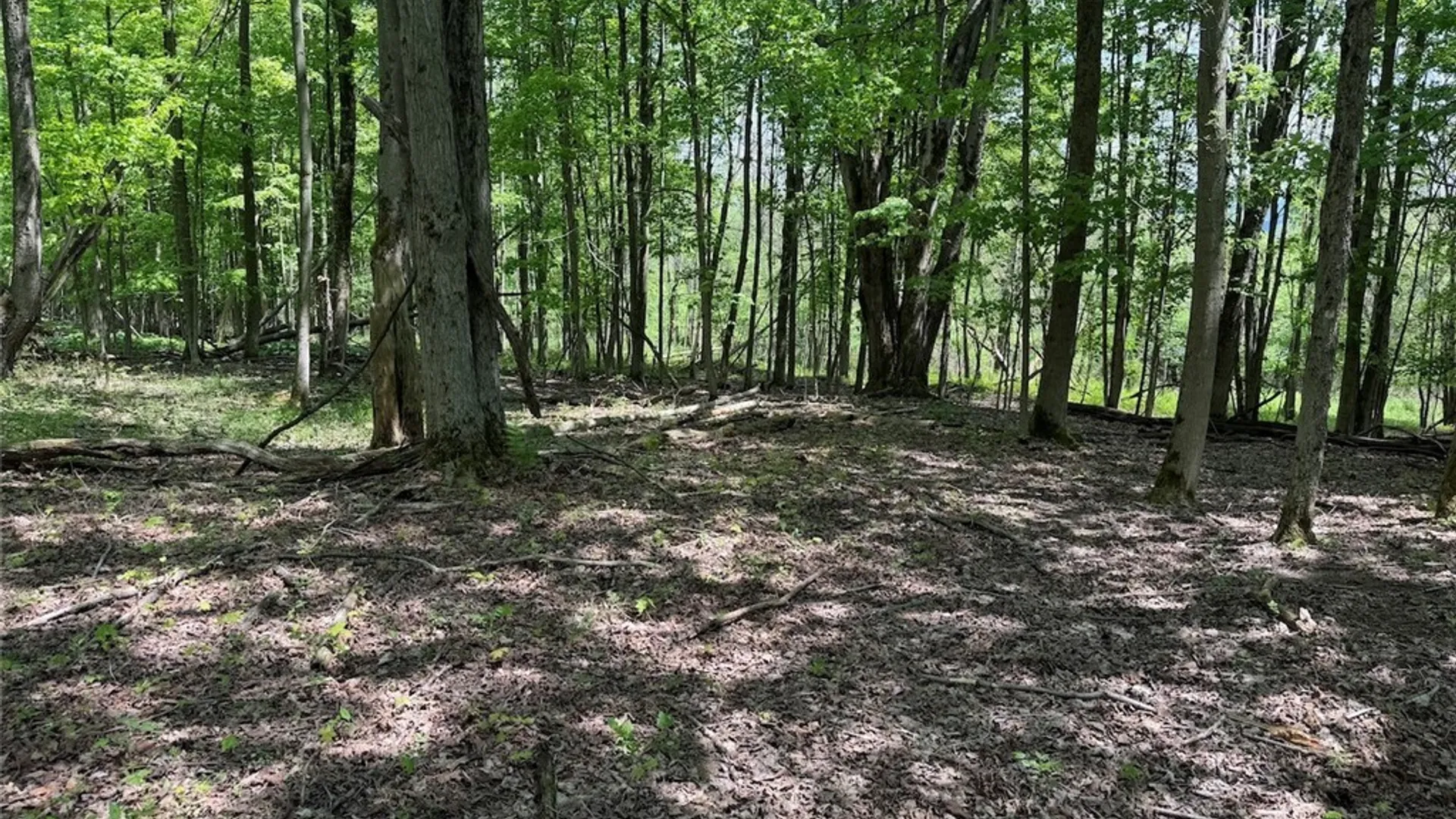 Property at Dye Road, Dayton, NY 14138 15