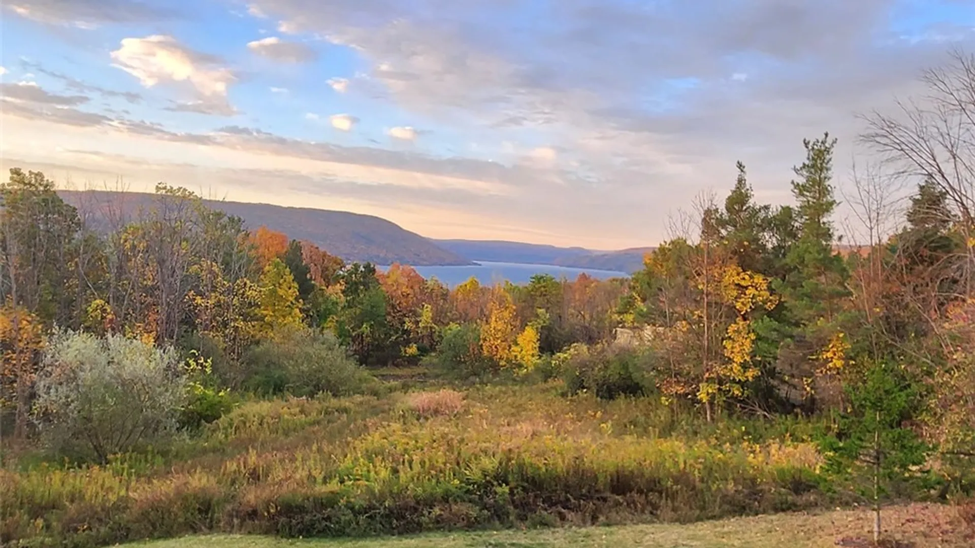 Property at 5491 Seneca Point Rd, South Bristol, NY 14424 50
