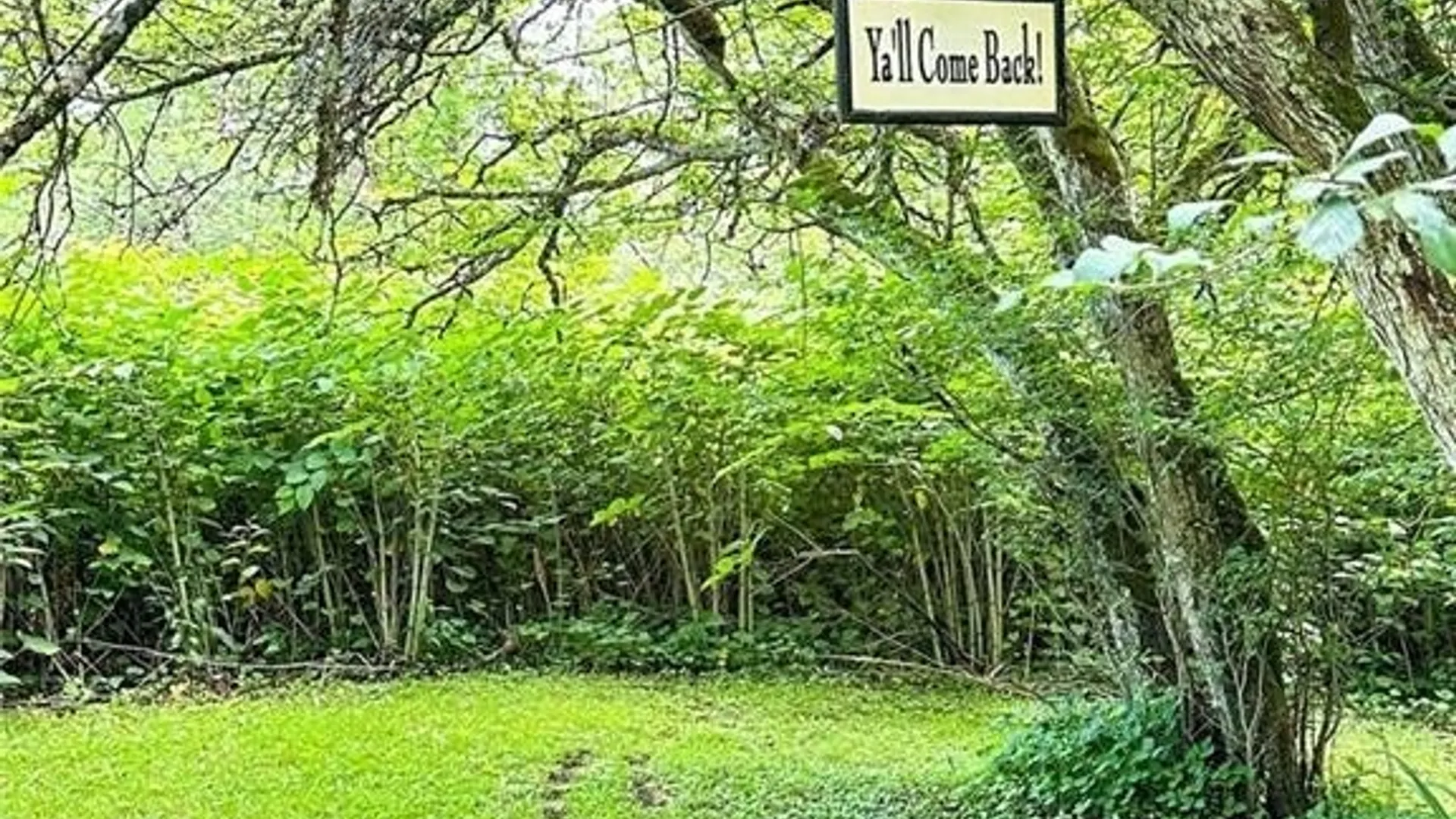 Property at 185 Dairy Hill Road, Salisbury, NY 13365 50