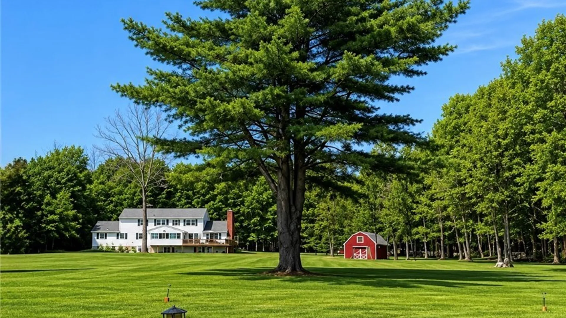 Property at 2970 W Lake Road, Cazenovia, NY 13035 8