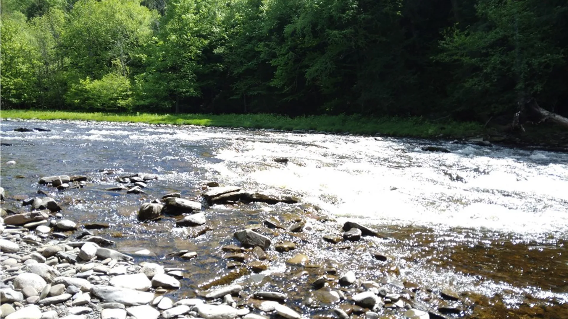 Property at 11145 Creek Road, Annsville, NY 13471 50