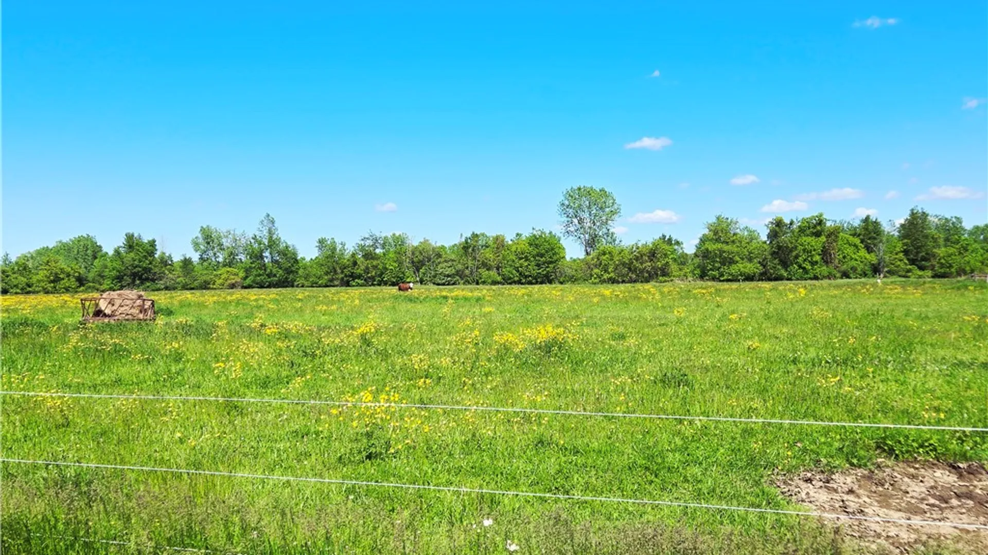 Property at Maple Road, Newstead, NY 14001 3