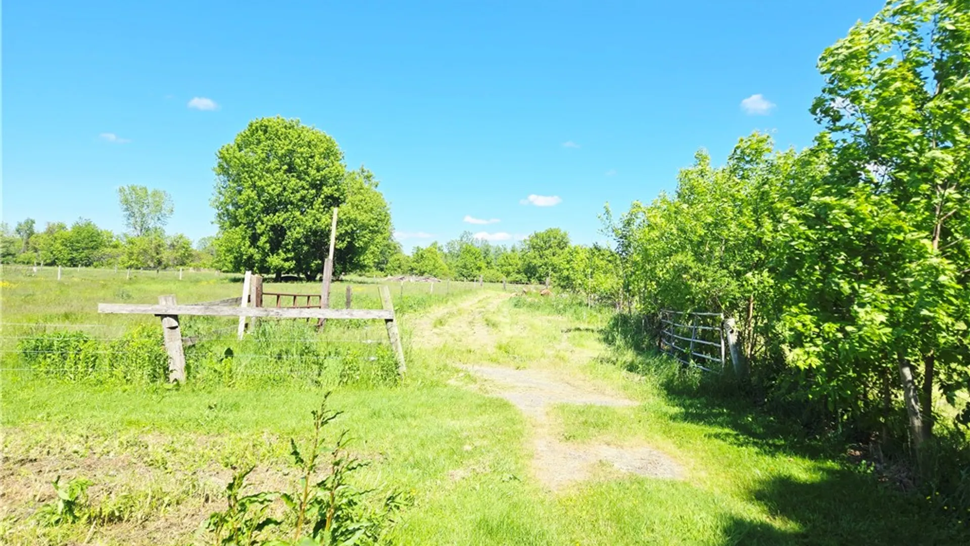 Property at Maple Road, Newstead, NY 14001 6