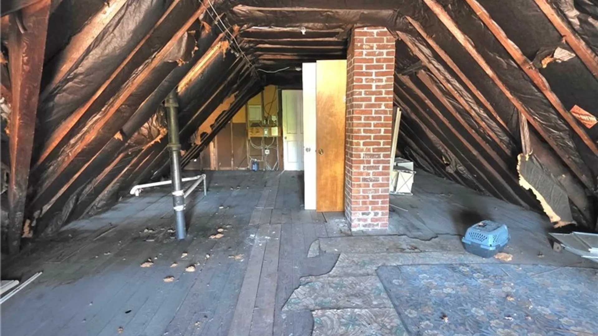 Property at 16 Parker Avenue, Buffalo, NY 14214 9