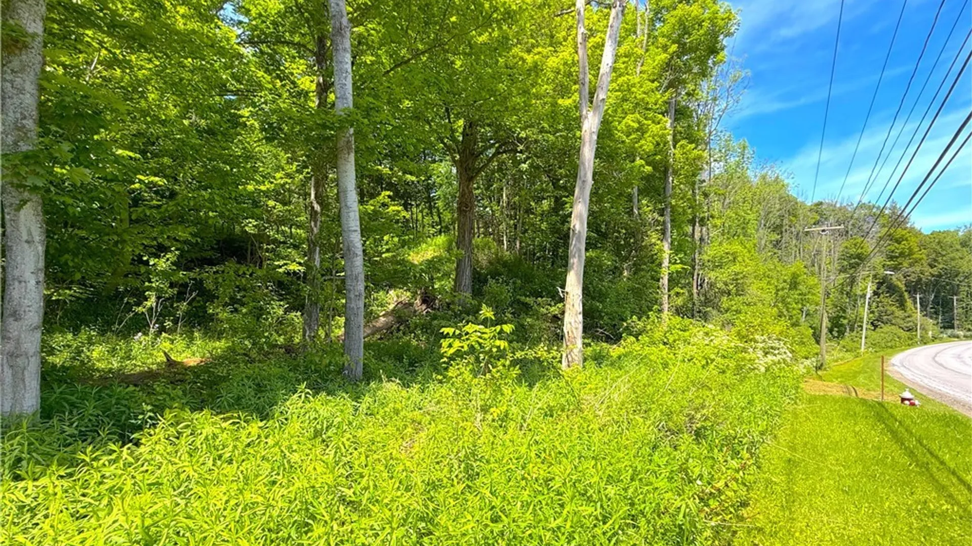 Property at 0 Main Street, Paris, NY 13322 2