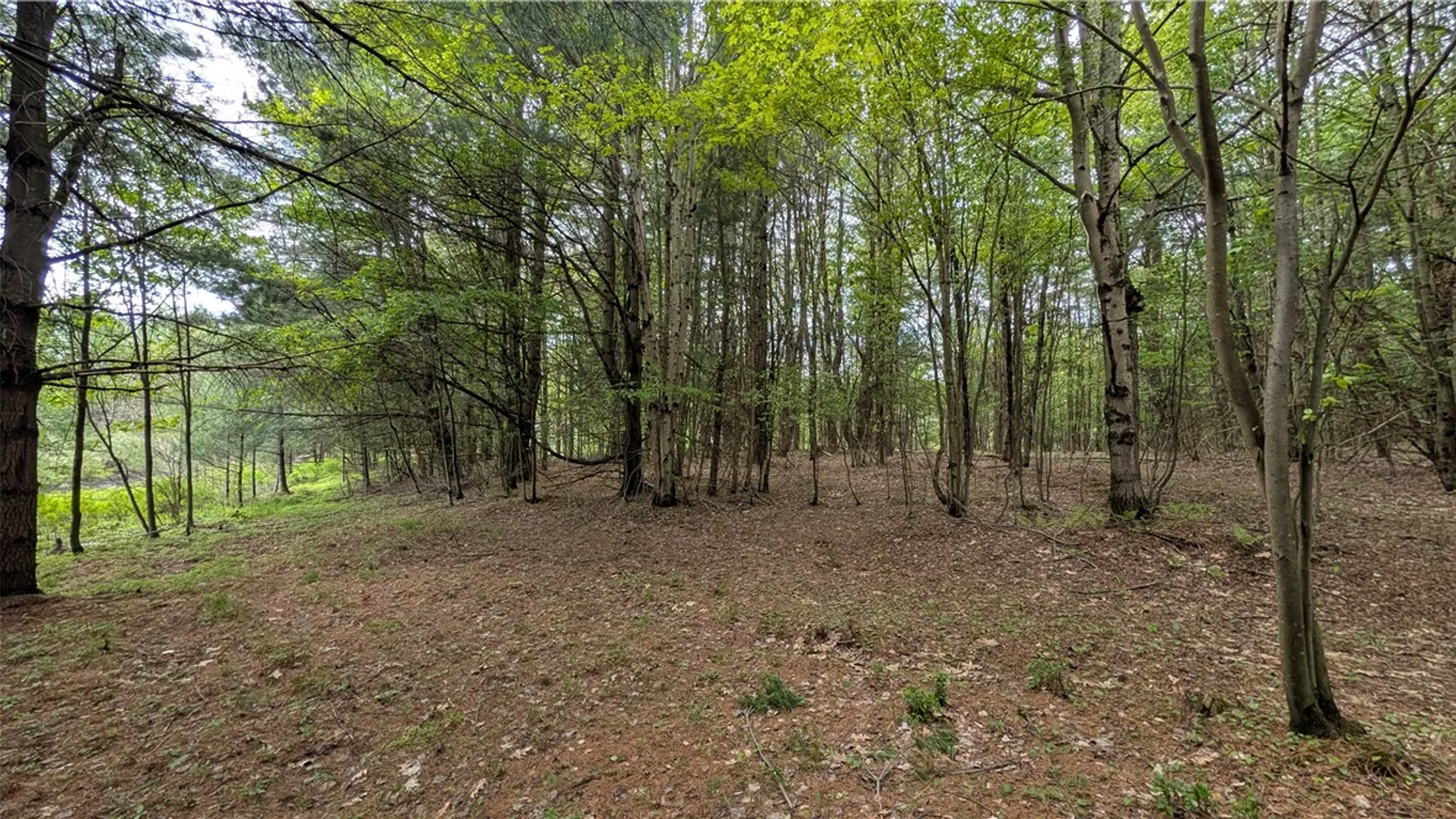 Property at 5820 Steam Mill Road, Masonville, NY 13849 41