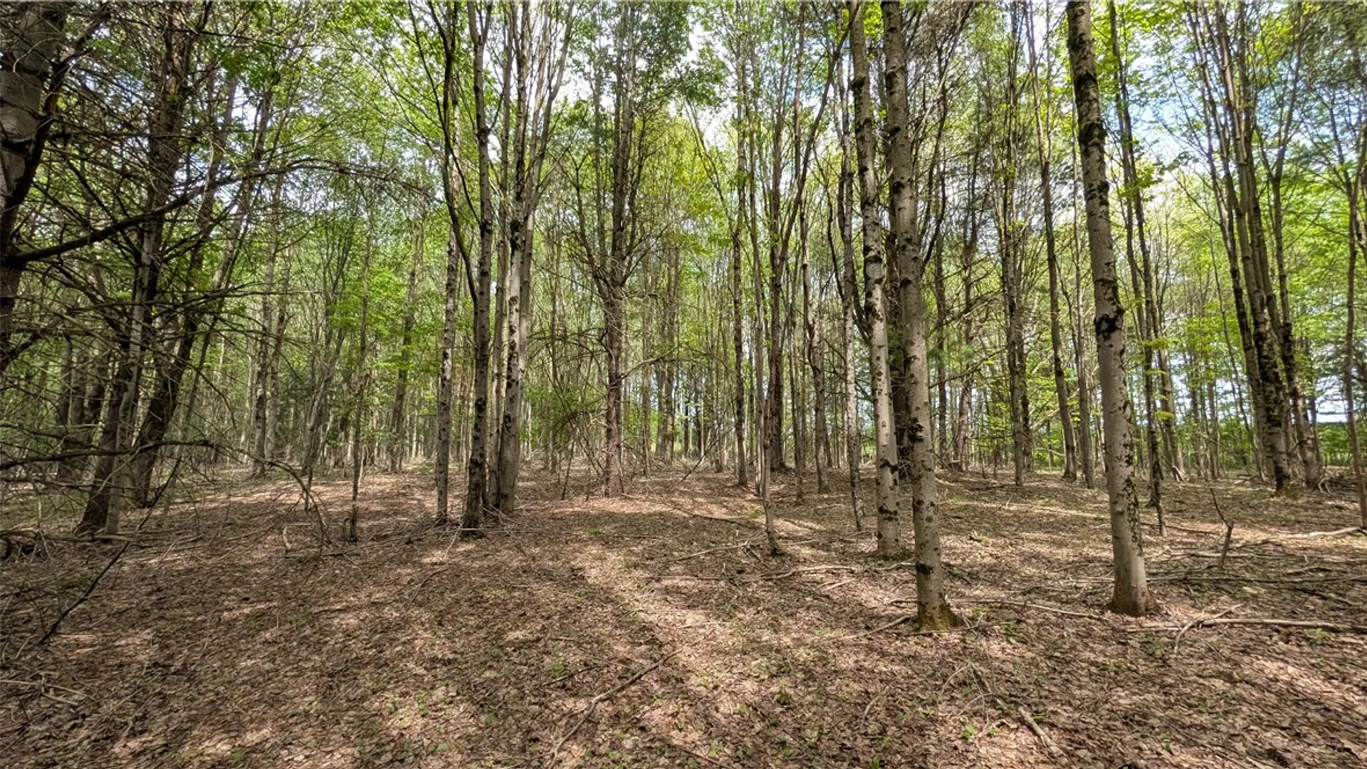 Property at 5820 Steam Mill Road, Masonville, NY 13849 42