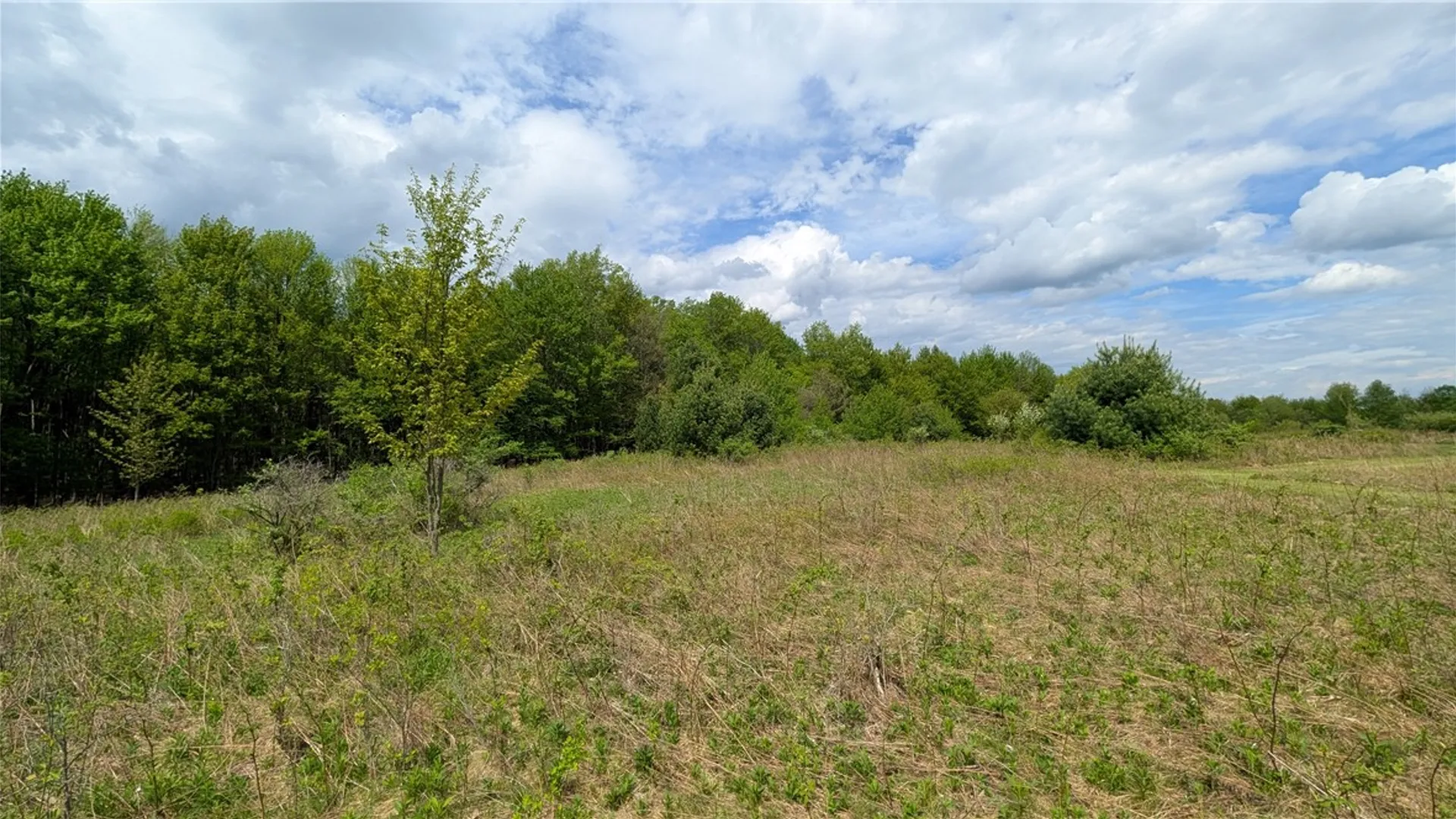 Property at 5820 Steam Mill Road, Masonville, NY 13849 45