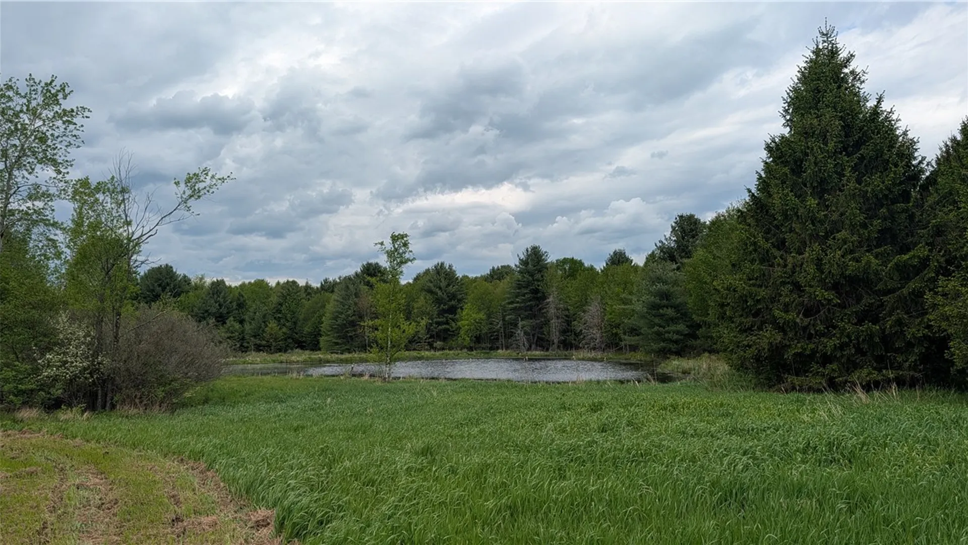 Property at 5820 Steam Mill Road, Masonville, NY 13849 46