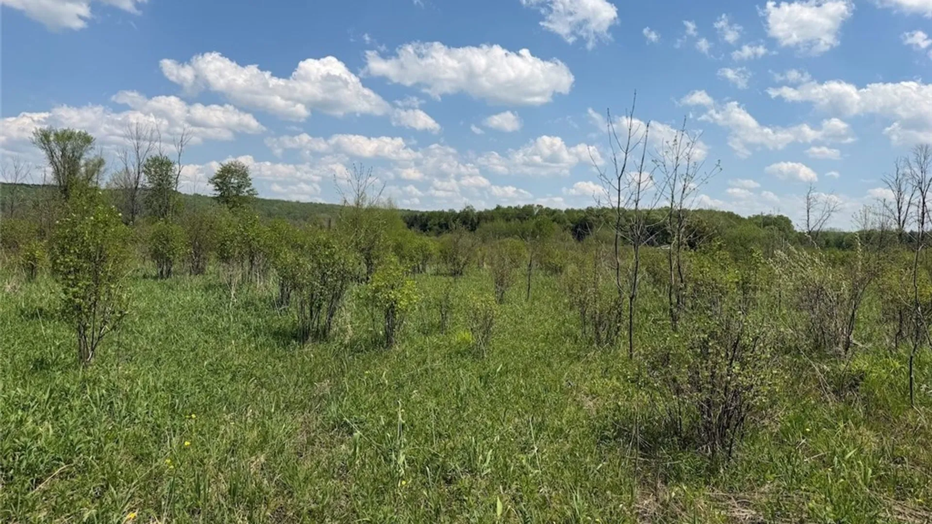Property at Buttermilk Road, Dayton, NY 14138 22