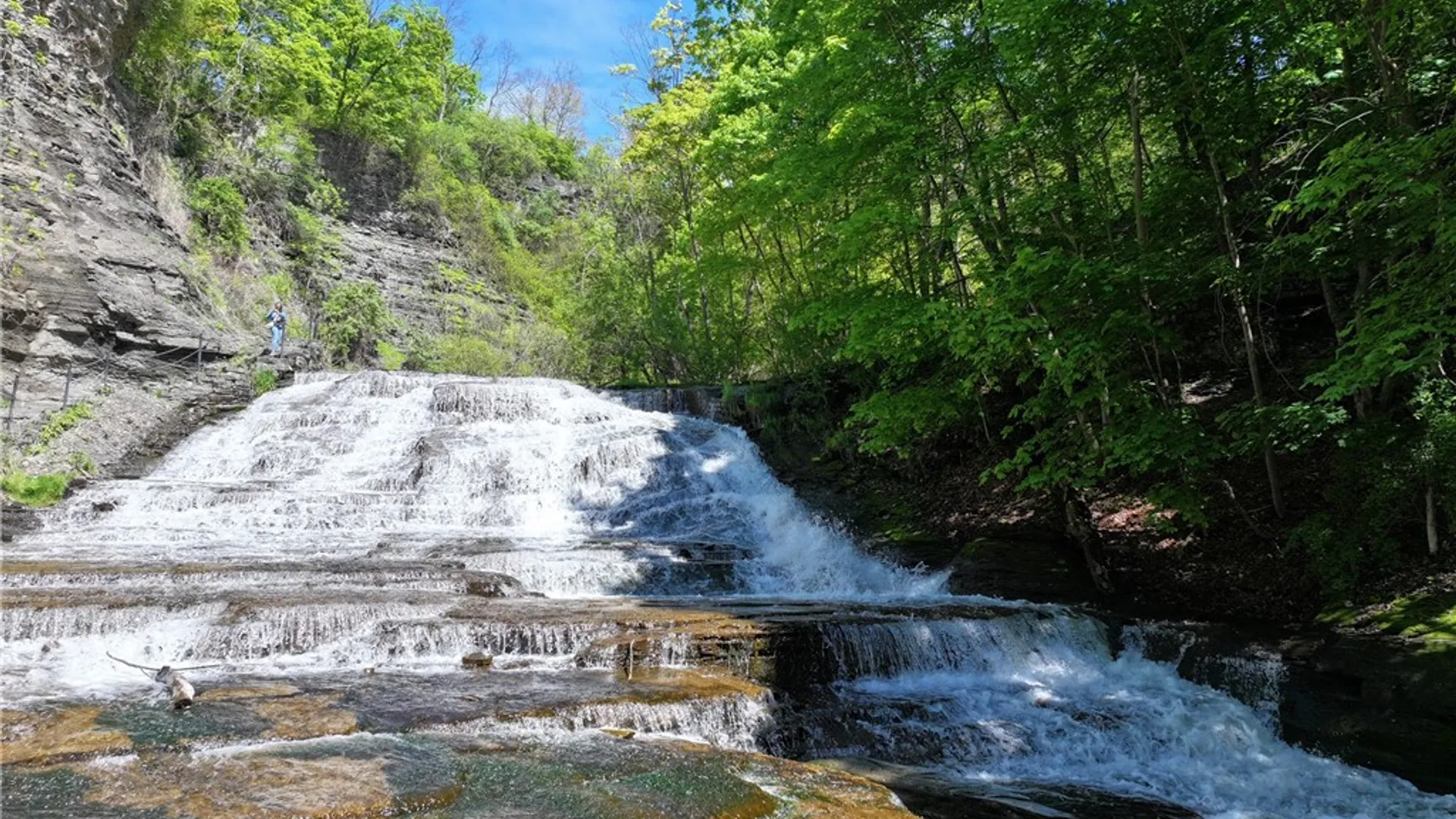 Property at 101 Linn Street, Ithaca City, NY 14850 35