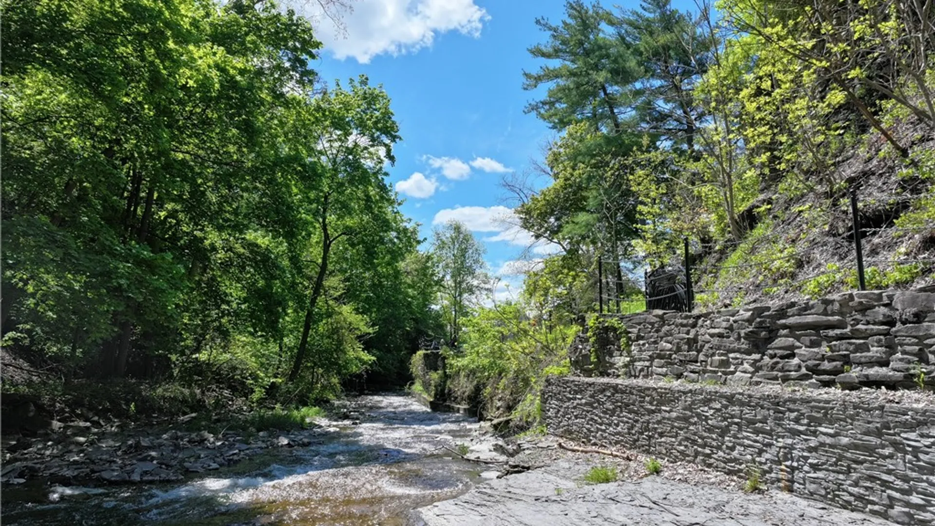 Property at 101 Linn Street, Ithaca City, NY 14850 36