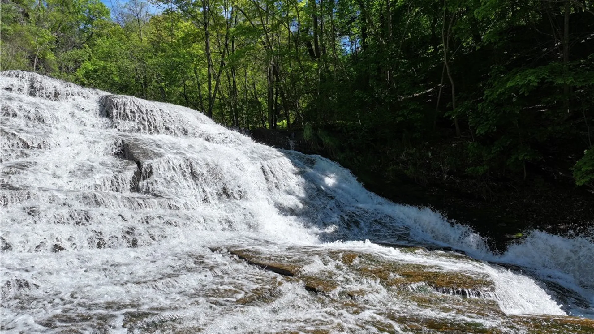 Property at 101 Linn Street, Ithaca City, NY 14850 40