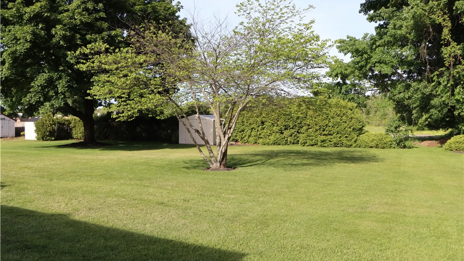 Property at 6856 Maple Avenue, Sodus, NY 14551 11