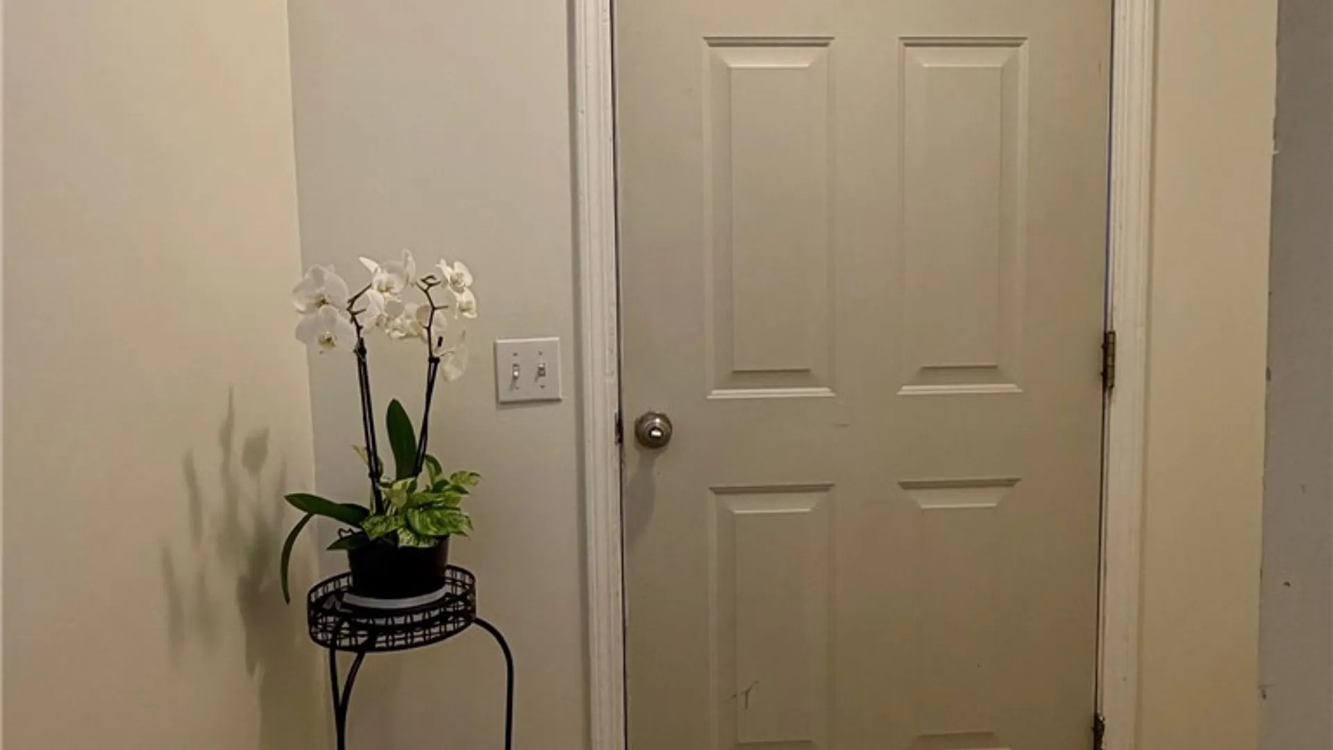 Property at 6437 Sterling Circle, Victor, NY 14564 4