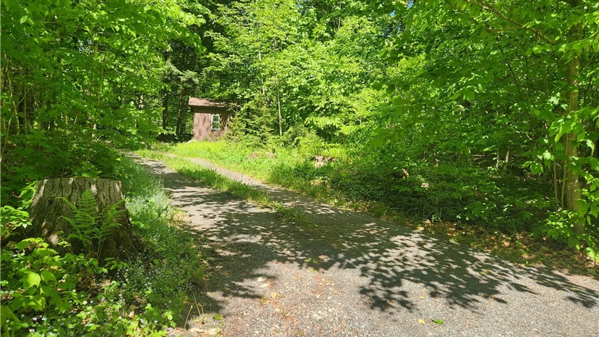 Property at 1193 Old Piseco Road, Arietta, NY 12139 27