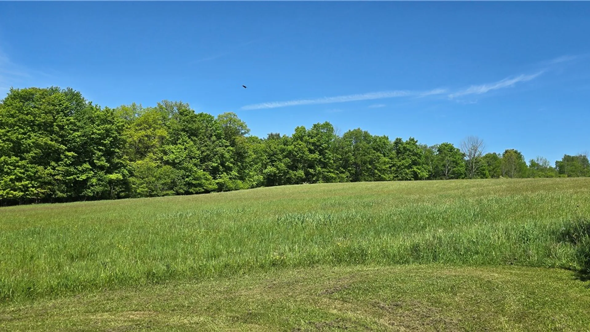Property at 324 Murphy Hill Road, Catlin, NY 14902 19