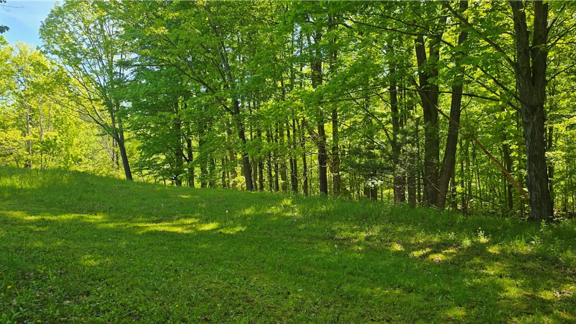 Property at 324 Murphy Hill Road, Catlin, NY 14902 20