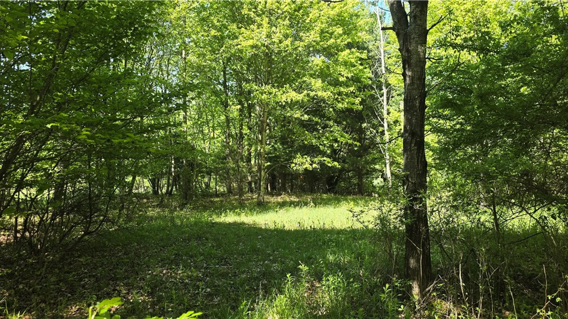 Property at 324 Murphy Hill Road, Catlin, NY 14902 22