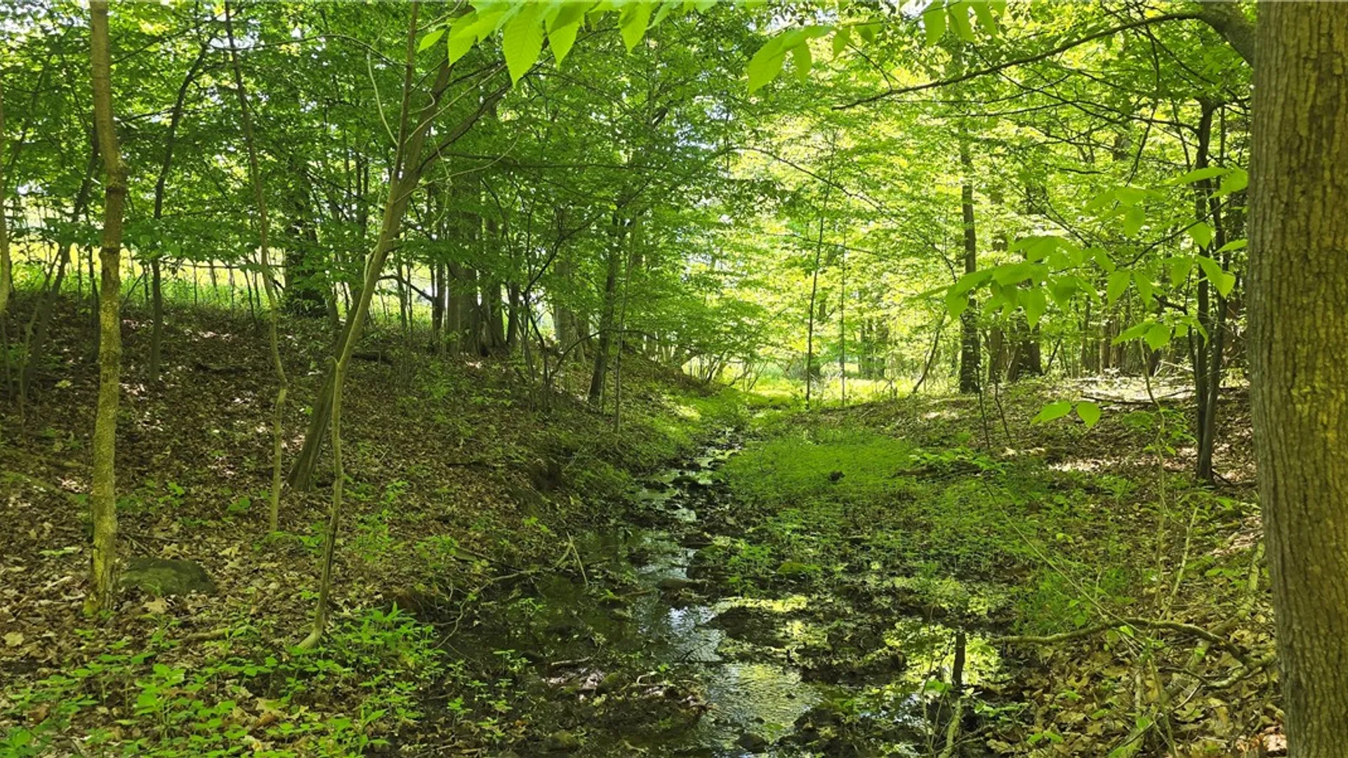Property at 324 Murphy Hill Road, Catlin, NY 14902 26