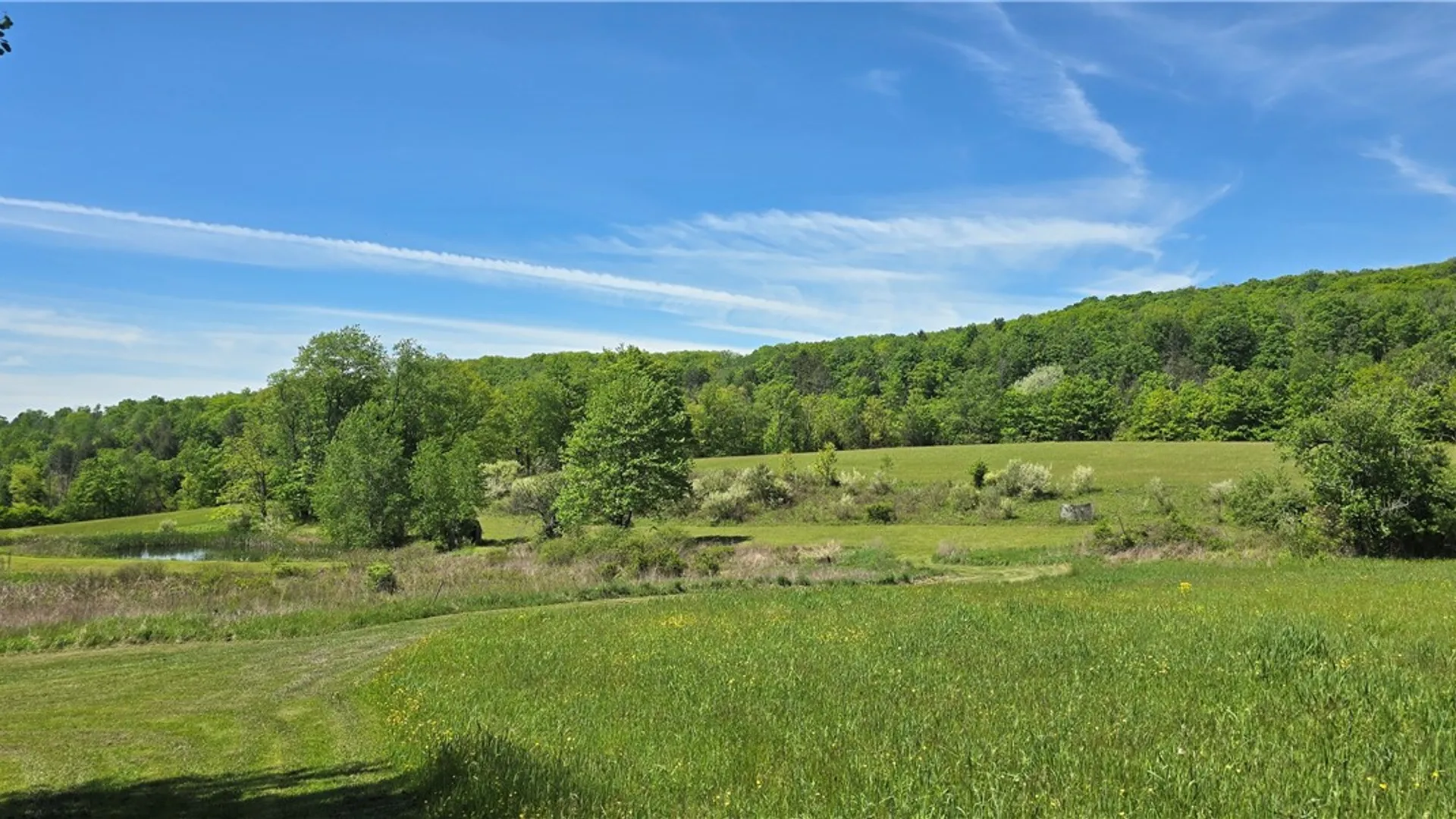 Property at 324 Murphy Hill Road, Catlin, NY 14902 3
