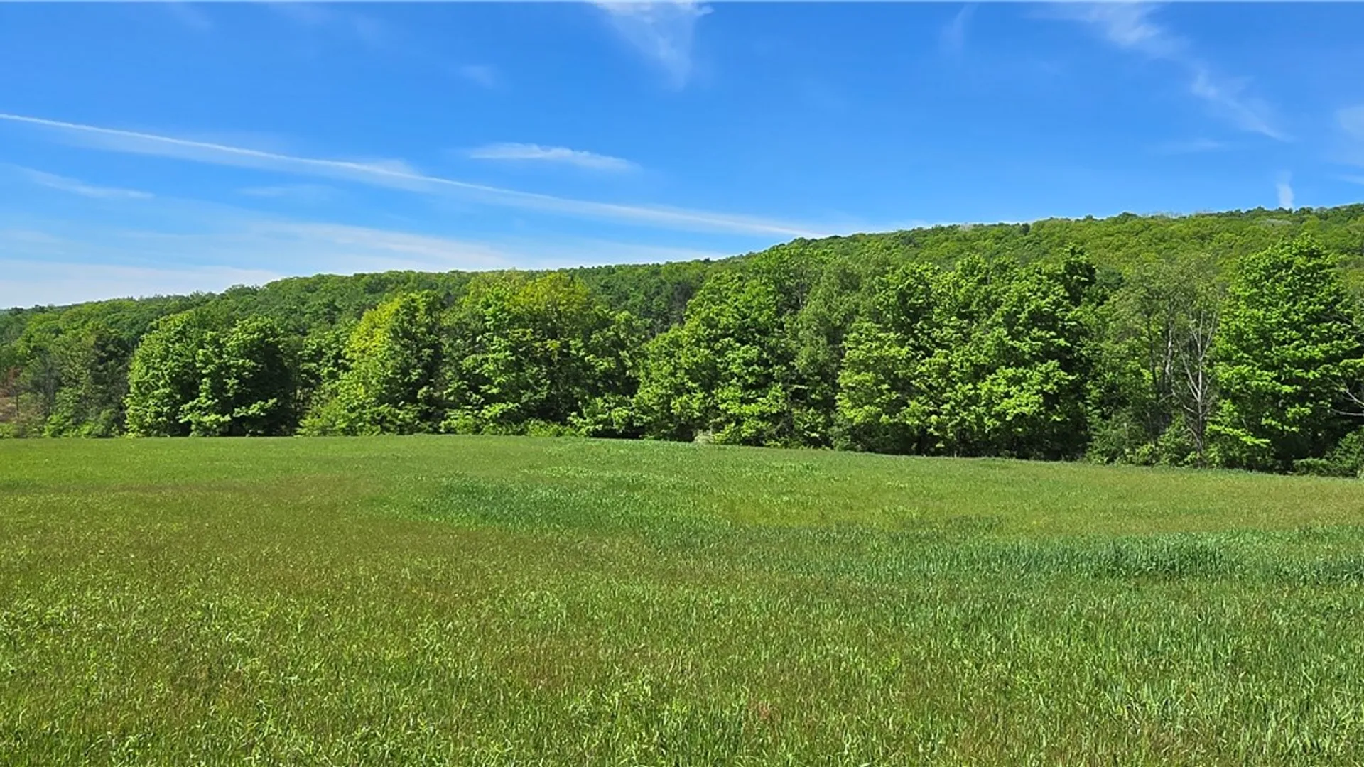 Property at 324 Murphy Hill Road, Catlin, NY 14902 33
