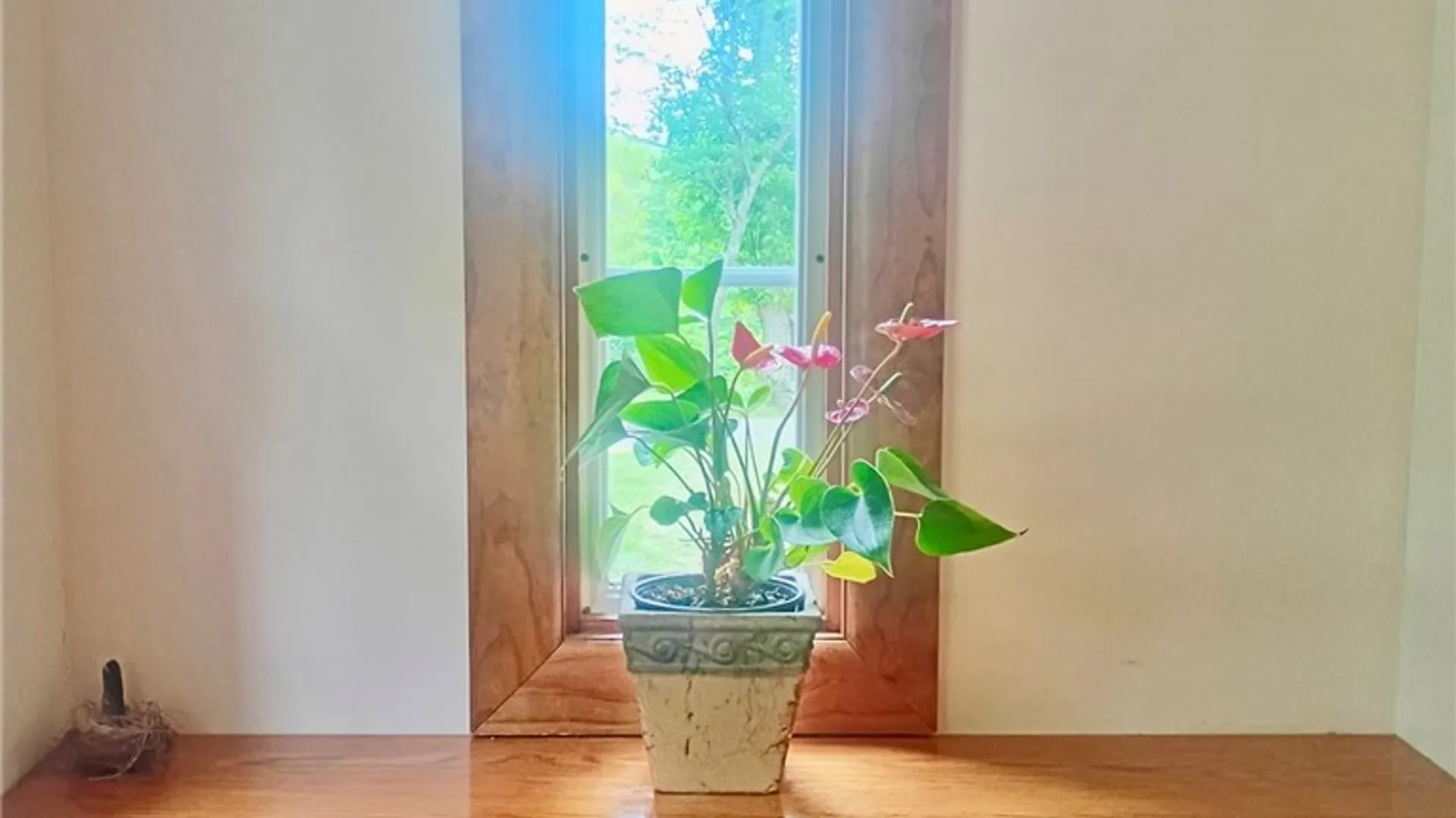 Property at 222 Parker Schoolhouse Extension, Davenport, NY 13750 5