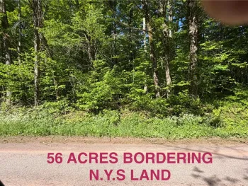 Property at 1142 Barkaboom Road, Andes, NY 13731