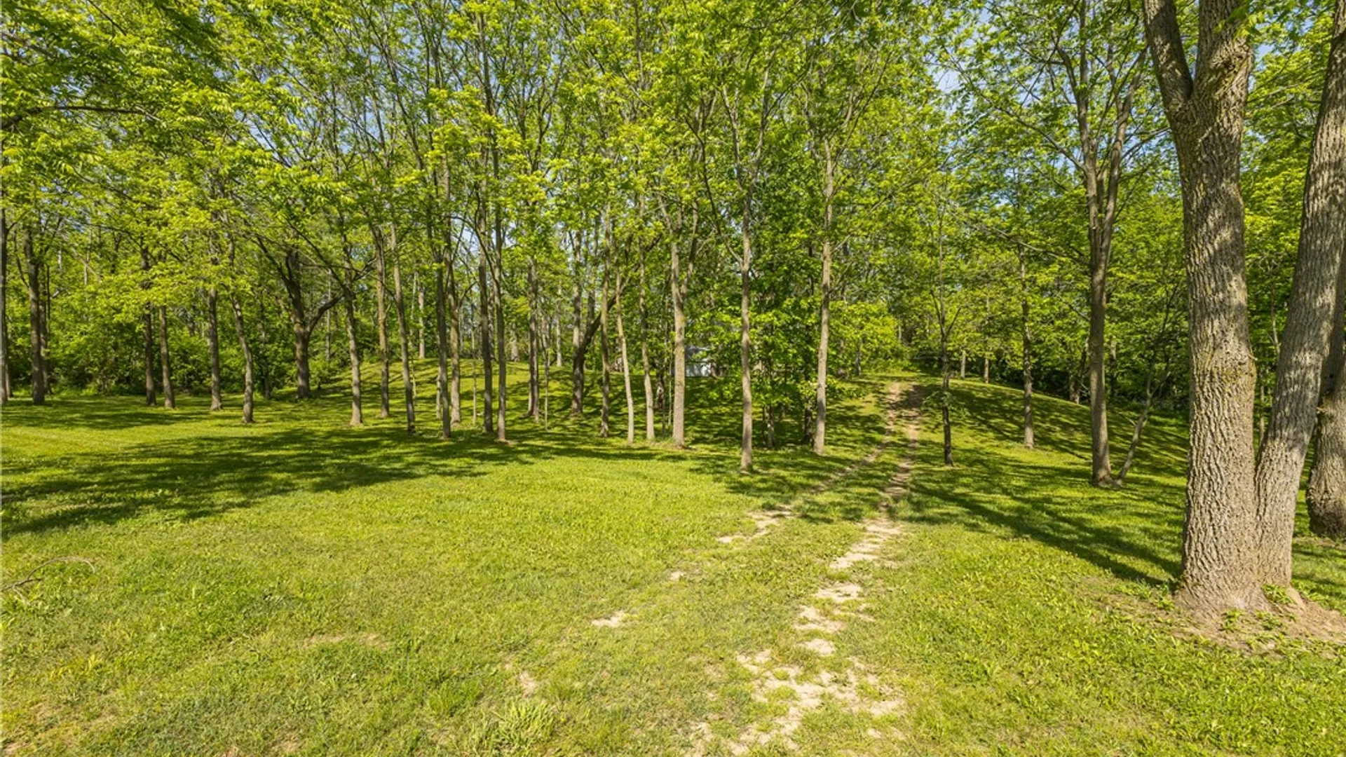 Property at 2404 Cambier Rd, Arcadia, NY 14513 27