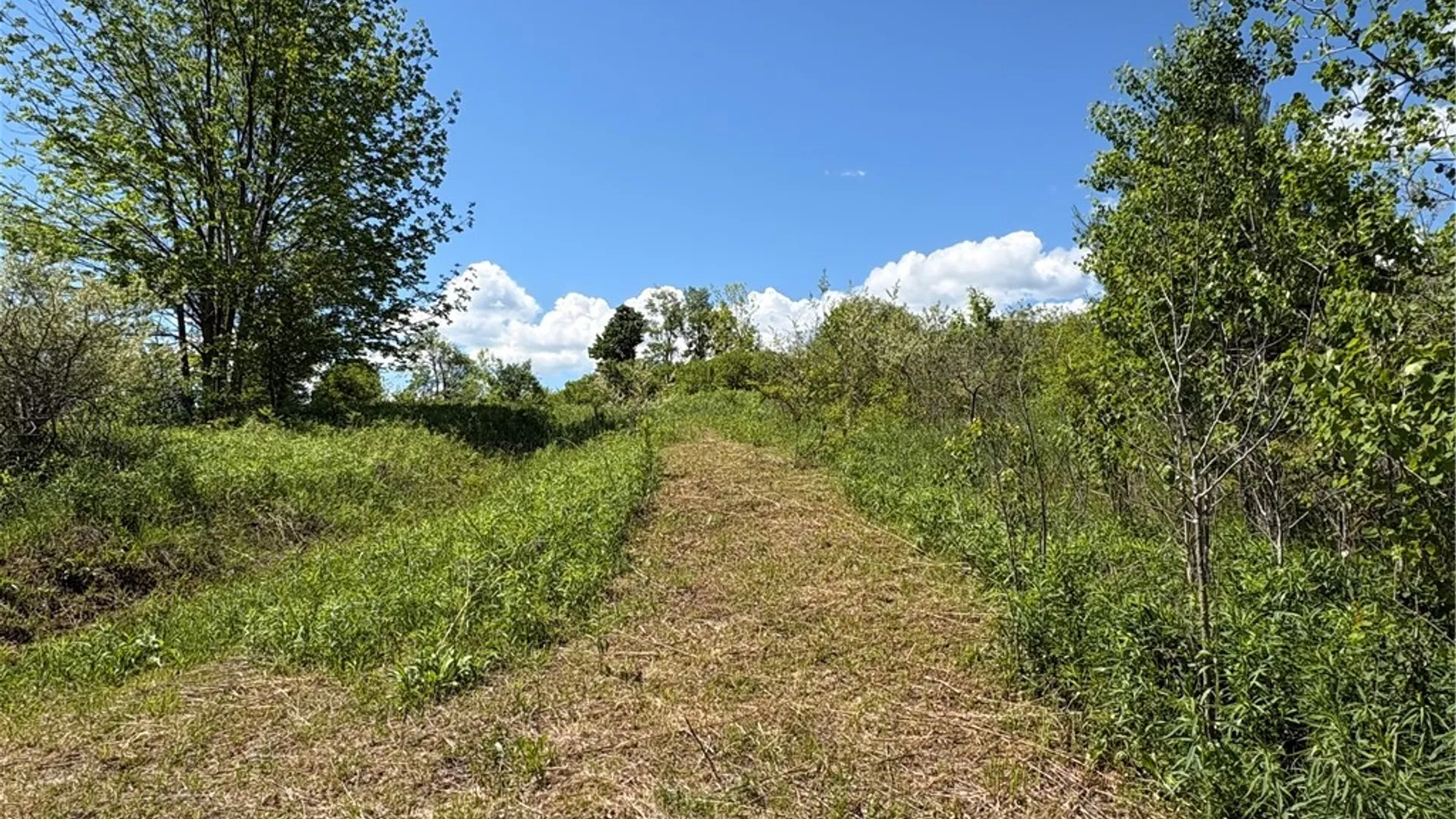 Property at 0 County Road 36, Guilford, NY 13780 26