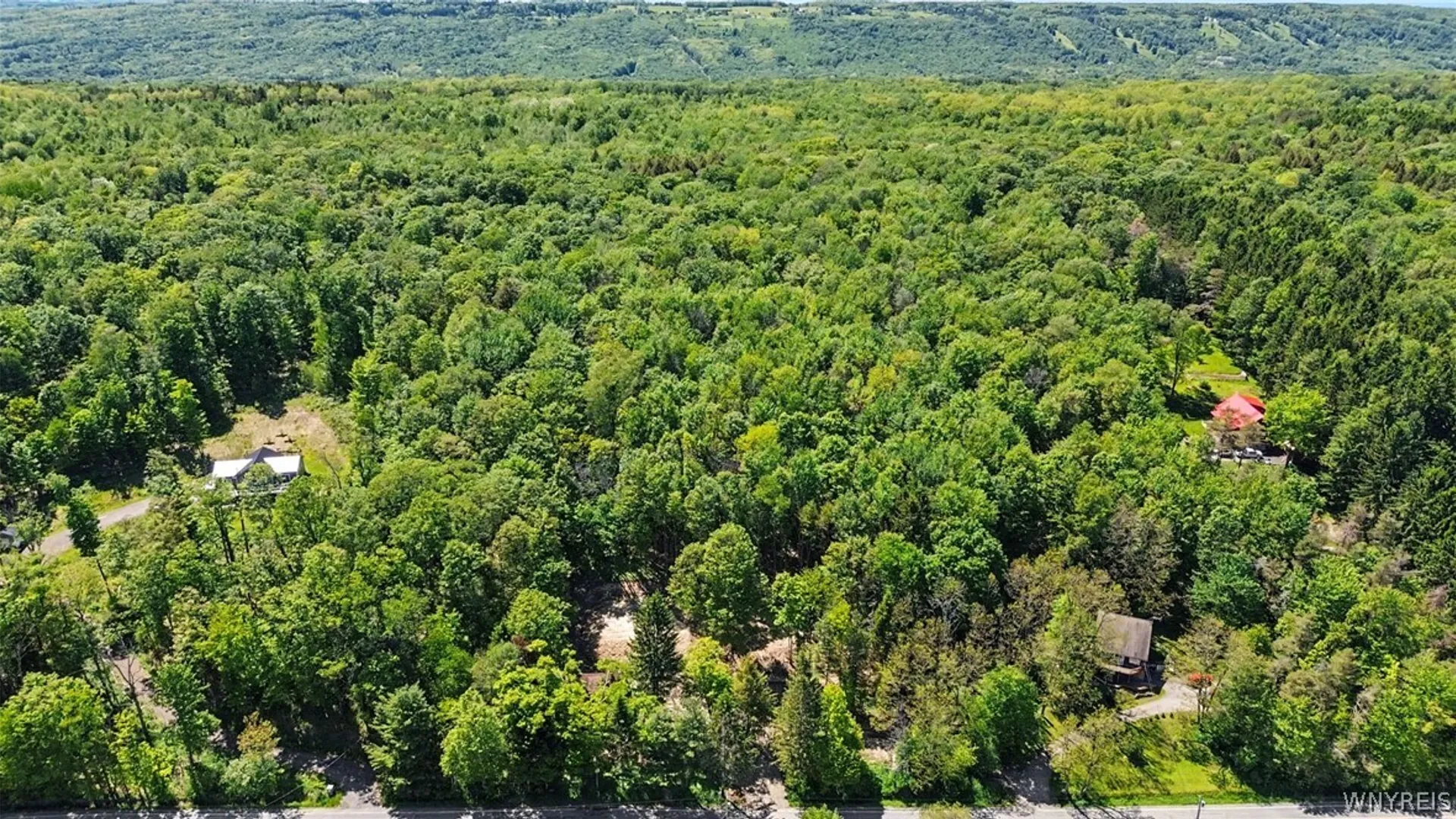 Property at 8176 Irish Road, Colden, NY 14033 48