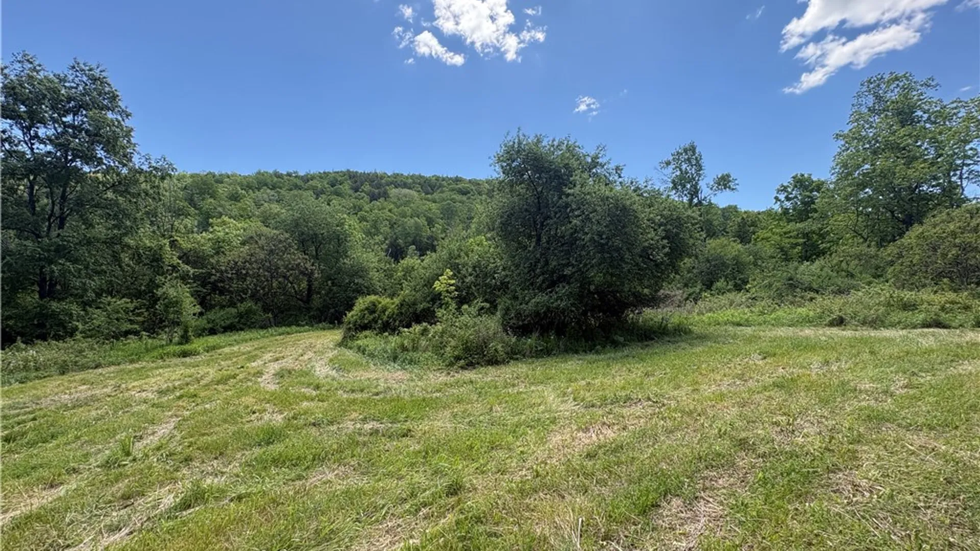 Property at 5386 County Route 11, Thurston, NY 14810 11