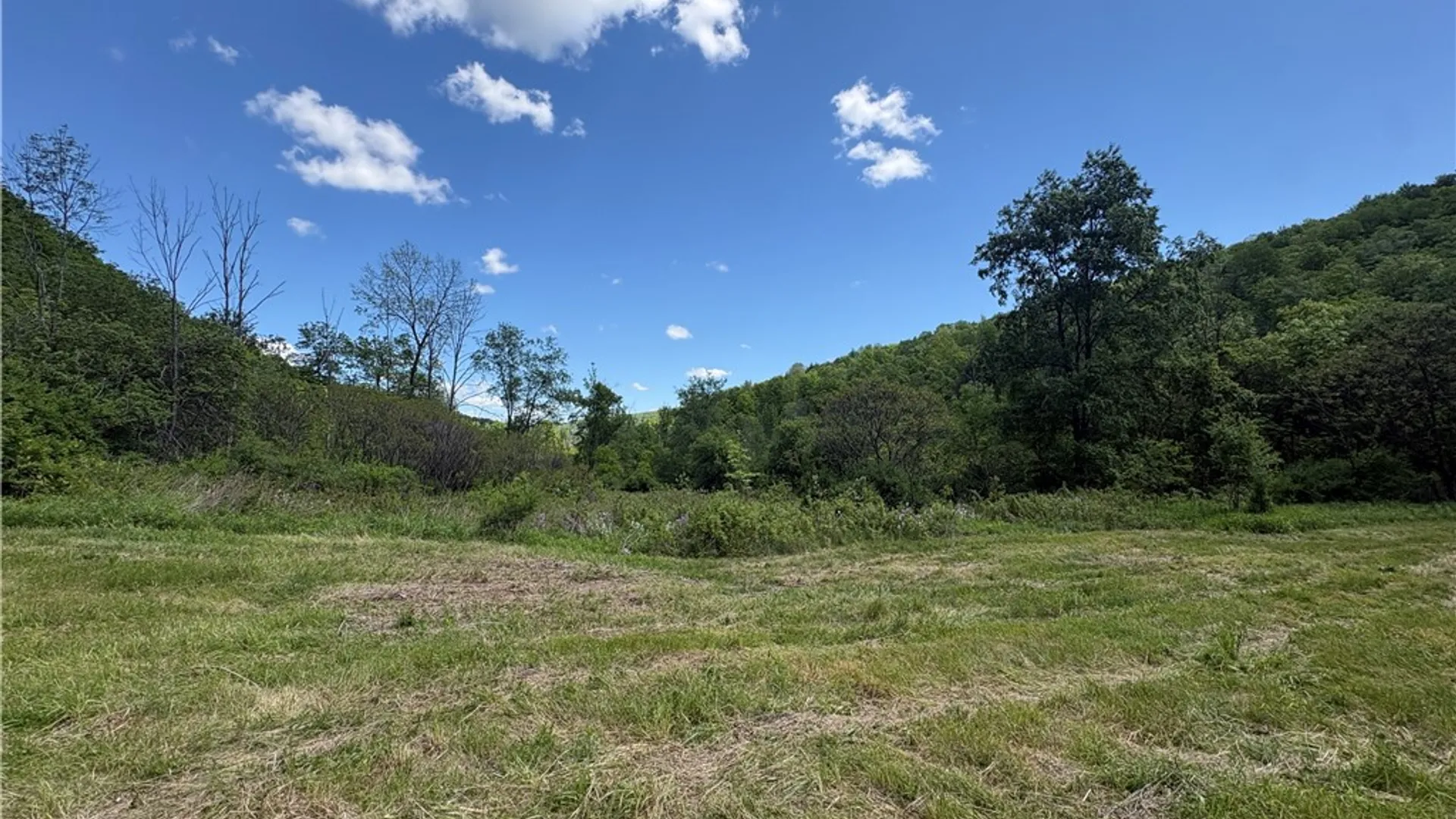 Property at 5386 County Route 11, Thurston, NY 14810 12